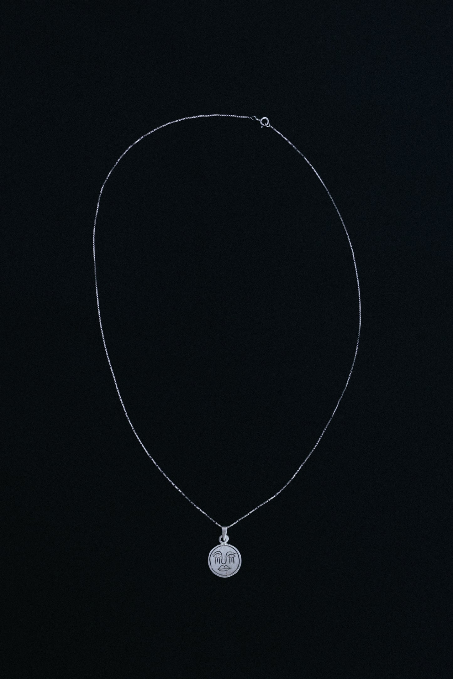 The Moon
